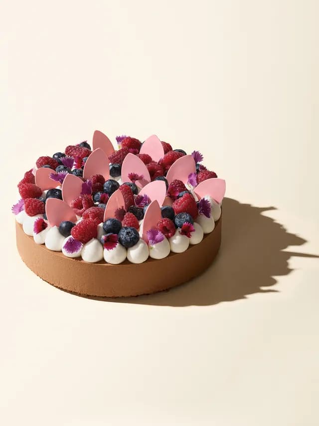 Chocolate Mousse and Fruit Cake